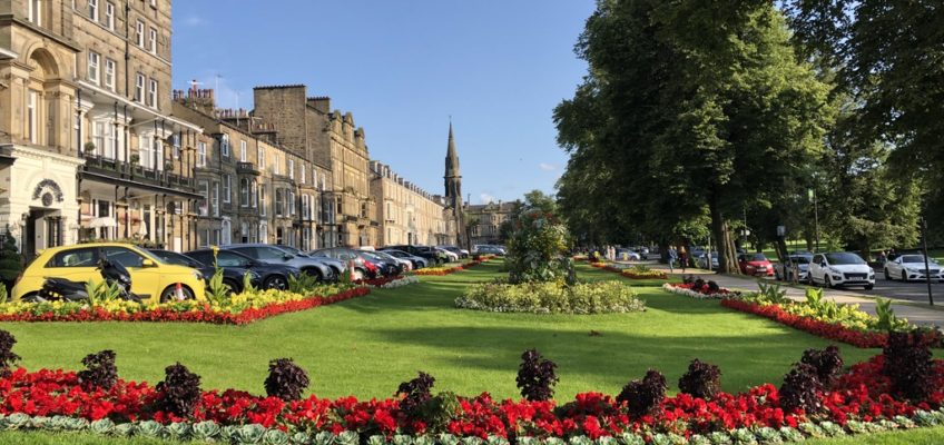 GREAT REASONS TO VISIT HARROGATE